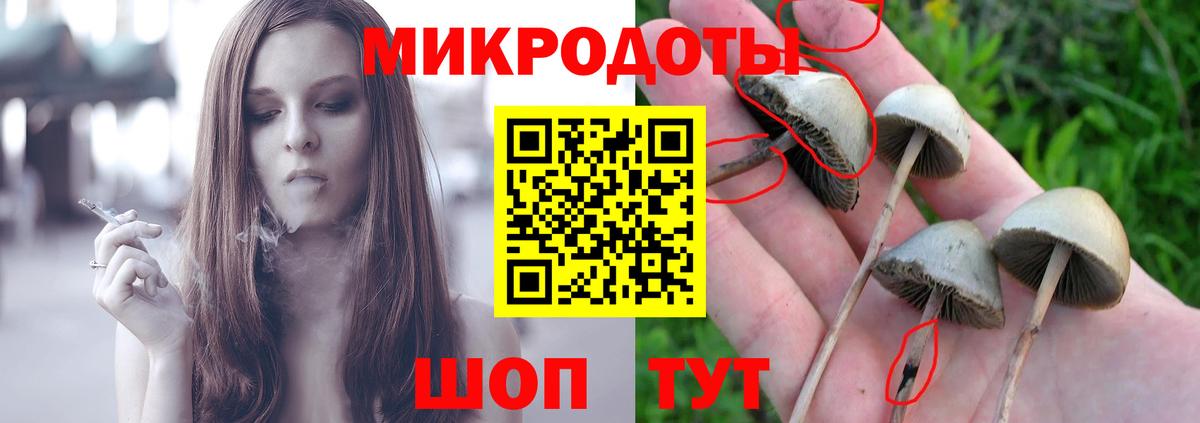 Псилоцибиновые грибы Cubensis Черемхово